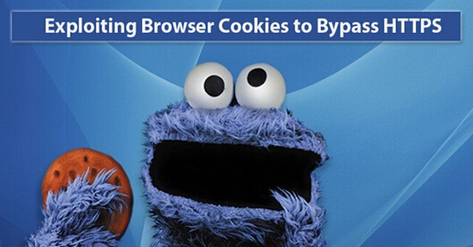Cookie注入漏洞：可绕过HTTPS并窃取私人信息