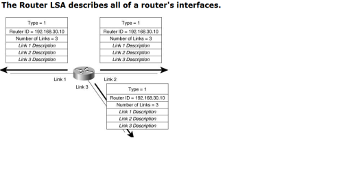 TCP/IP 路由 卷一 习题 ospf