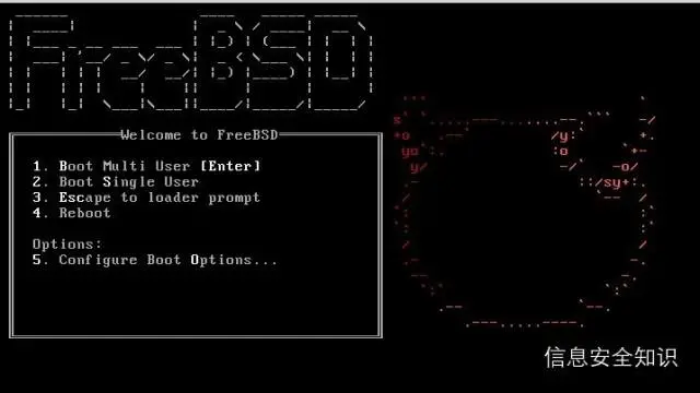 FreeBSD发现严重缓冲区漏洞_java