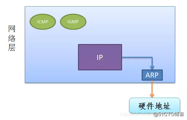 ARP 协议_数据_02