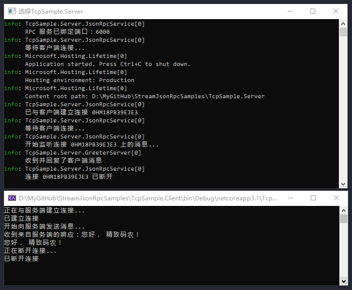 .NET 開源項(xiàng)目 StreamJsonRpc 介紹[下篇]_自定義_06