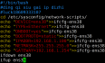 web安全day36：Linux脚本编写自动修改IP地址