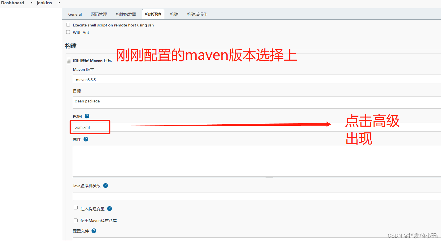 Docker安装Jenkins打包Maven项目为Docker镜像并运行【保姆级图文教学】_docker_35