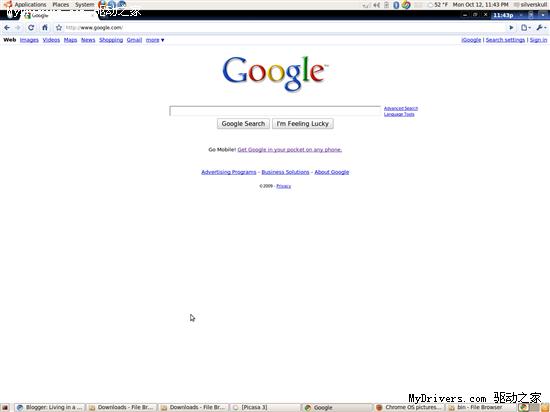 Google操作系统自带浏览器Chrome 4.0.222.6