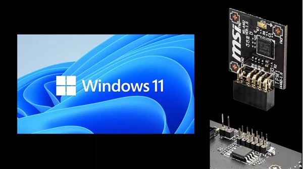 微软 Windows 11安卓子系统 2306 预览版更新，改进网络、画中画、存储等