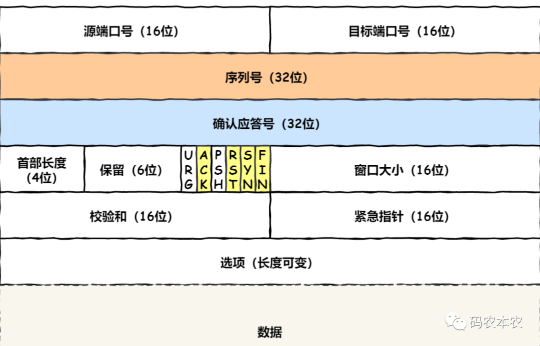 以下哪个器官被称为人体的造血工厂？蚂蚁庄园4.27日答案 出生后就以骨髓造血为主了