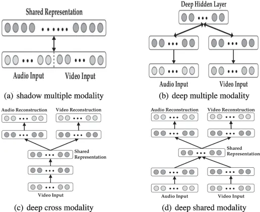 多模态、跨模态和共享模态学习的架构。
