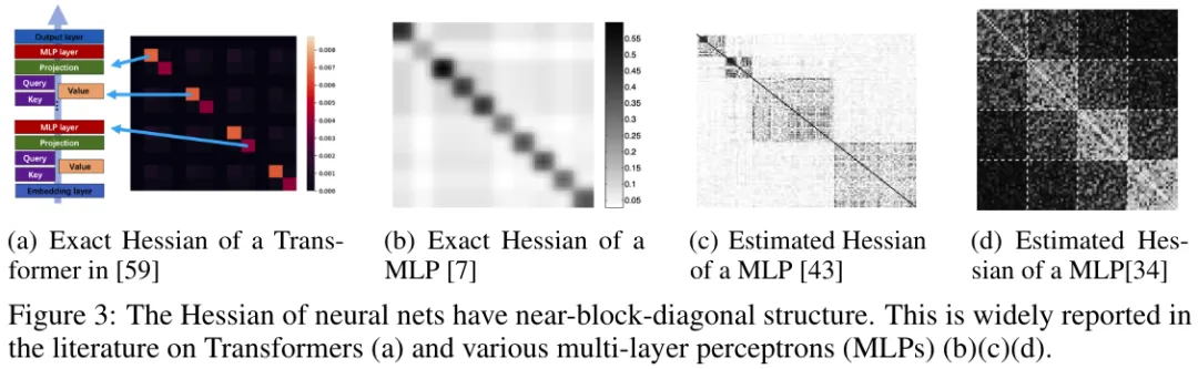 论文《why transformers need adam: a hessian perspective》发现