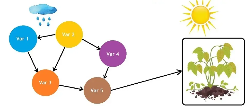 一文彻底搞懂大模型 - 贝叶斯网络（Bayesian Network）-AI.x社区