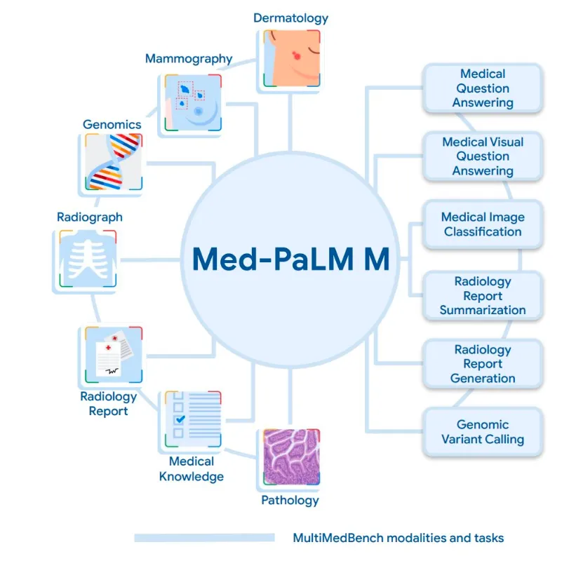 大型语言模型在医学领域的应用：探究Med-PaLM-AI.x社区